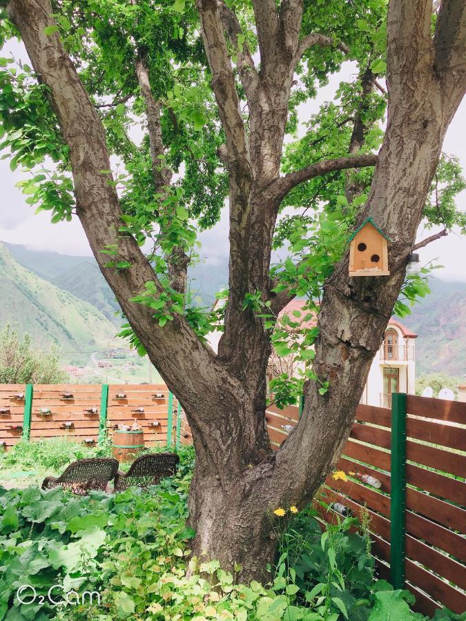 Greenhill Kazbegi Luaran gambar
